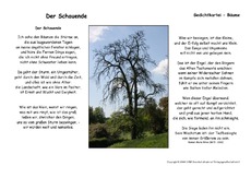 Der Schauende-Rilke-B.pdf